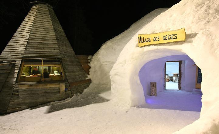 - Swiss Alps - Fully Renovated ! Leysin